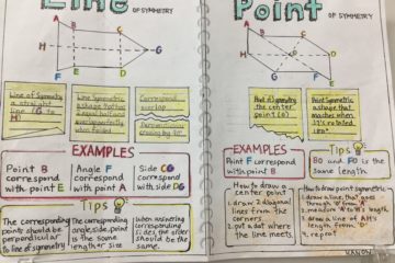 6年生 算数「対称」　Grade 6: Math “Symmetry”