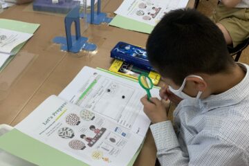 3年生：理科の授業　Grade 3: Science Class