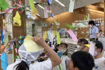 ツインクラス活動（七夕）　Twin Class Activities: Tanabata