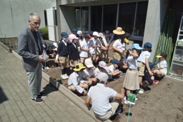 Grade 2 Students Learn How Vegetables Grow