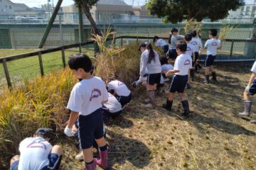 Gr. 5 Rice Harvest