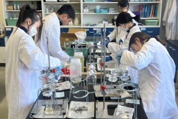 G11 – CSP (Collaborative Science Project)