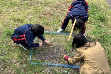G12 – Class Spotlight: Environmental Systems and Societies (ESS): Assessing Biodiversity