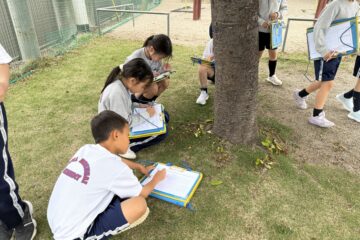 G3 – Drawing Nature