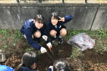 サツマイモを収穫しました！(第8学年技術科) / We harvested sweet potatoes! (8th grade technology department)