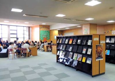 Library2