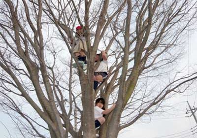 木の上からの眺めは最高!!