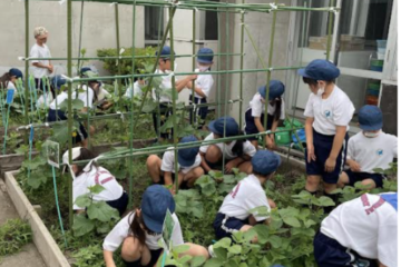 ２年生：草むしりで植物も元気に！・Weeding makes the plants healthy too!