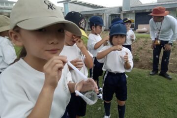 Grade 1: Life Studies
