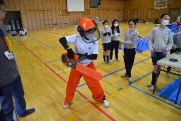 G5 – Forestry School